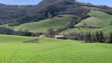 esplora le meraviglie dell'Appenino Marchigiano